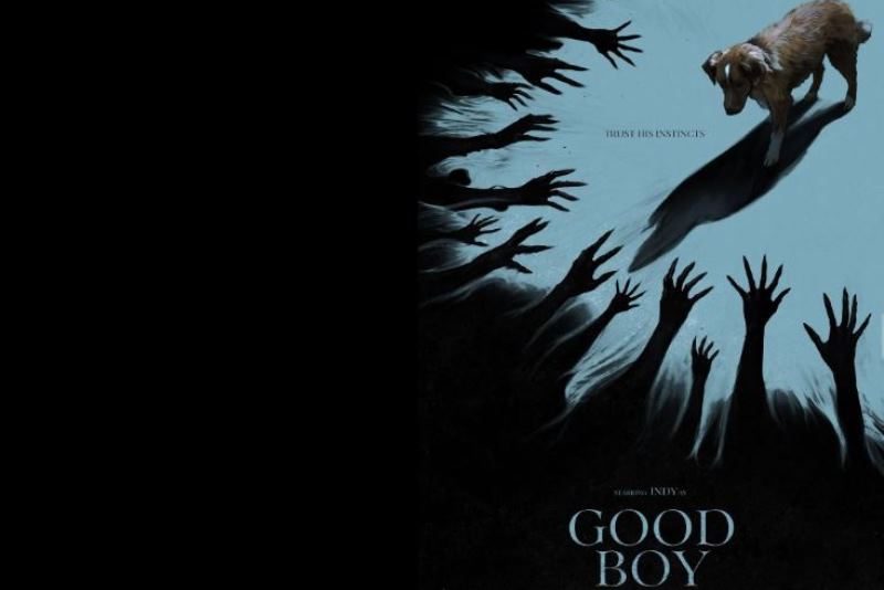 Sinopsis Film Good Boy, Horor Rumah Tua dari Kacamata Anjing yang Lindungi Tuannya
